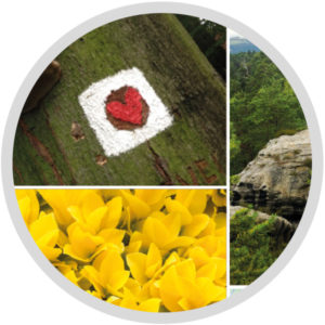 Wanderführer Farbbilder