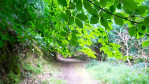 South West Coast Path - Etappe 2
