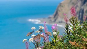 South West Coast Path - Etappe 2