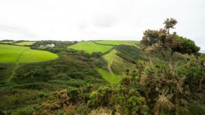 Bude - Crackington Haven