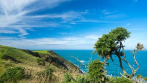 Crackington Haven - Tintagel