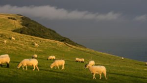 Woolacombe - Braunton