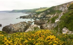 South West Coast Path - Etappe 37 - River Yealm - Bigbury