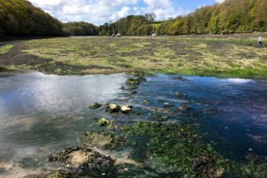 South West Coast Path - Etappe 28 - Coverack-Helford