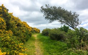 South West Coast Path - Etappe 34 - Polperro-Portwrinkle